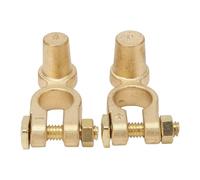 Générique Batteriepol Adapter - Universal Battery Terminal Converter, Solid Brass Construction, Resistant Finish | Secure Electrical Connection with FA Installation