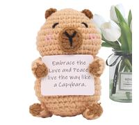Générique Capybara Crochet | Capybara Knitted Inspirational Plush Decoration with Motivating Message Card for Office Home Birthday Party