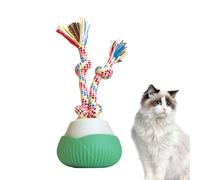 Générique Cat Ball Toy | Rechargeable Type-C Intelligent Recording Accessory | Cat Balls with Rope, Indoor/Outdoor Play, Training, Travel, Exercise, Simulation