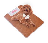Générique Cat Cooling Mat, Wear Resistant Rattan Dog Cooling Pad, 15.75x11.81x0.39 inches Breathable Comfortable Summer Pets Supply for Indoor, Outdoor Use on Sofa, Bed, Kennel, Cage, Car,