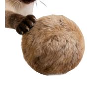 Générique Cat Toy Ball - Kitten Training Accessories, Fluffy Kitten Balls Toys | for Pet Owners Home Office Living Room Bedroom Game