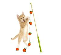 Générique Cat Toy | Interactive Fruit Design Stick | Self-Playable Cat Teaser for Indoor Kittens | Bird Fish Mouse Toy | for The Cat