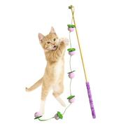 Générique Cat Toys | Interactive Play Stick Fruit Design, Cat Agace-Toy | For Indoor Kitten Play with Birds, Fish, Mouse to Fight Boredom