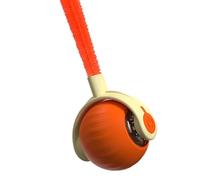 Générique Cat Toys, Rechargeable Teaser in Motion | Intelligent Motion Activated Cat Toys, Dog Small Medium Large House Travel Indoor Outdoor