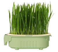 Générique Cat Tray - Cat Tray - Hollow for Potting Soil - Original Planter for Treats - Indoor Garden to Place on the Window Sill - Without