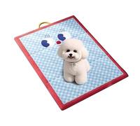 Générique Cooling Blanket Dogs, Washable Mat, 24.41x11.81x1.57in Pet Cushion Sofa, Cooling for Puppies, Senior Dog, Cats, Backyard, Living Room, House, Bedroom Use