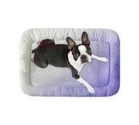 Générique Cooling Mat Dogs, Splashproof Pet Ice Pad, 19.69x15.75in Portable Cooling Bed, Comfortable Relaxation Mats Crates for Puppies, Rabbits, Hamsters, Cats, Kitchen, Indoor, Outdoor Use