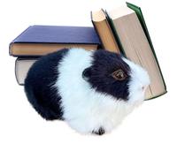 Générique Cuddly Hamsters - Plush Hamster Happy The Hamster | Small Toys for Pet Lovers, Collectors, Sofa Shelf, Dortoi