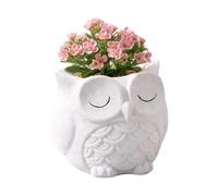 Générique Cute Succulent Planter Pot | Resin 9.5x11cm 245g Mini Animal Shaped Flower Pot Indoor Decorative Vase | Cactus Stand, Desk Shelf, Window Sill, Prom