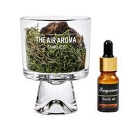 Générique Diffusore Di Muschio Di Pino - Diffusore Passivo per Bottiglia, Diffusoree Olio Decorativo A Lunga Durata | Diffus0re Fragranze per La CASA, Diffus0re Olio Decorativo A Lunga Durata