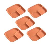 Générique Divided Plate - 3 Divided Meal Trays | Set of 5 Plates with Separations - For Vegetables Salad Rice Cheese Fruit Meals Adult Kitchen