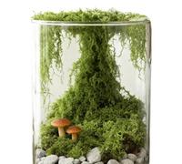 Générique Fake Moss, 300g Realistic Fake Greenery, Foam for Indoor Terrarium, Planter Vase, Home, Christmas, Wedding
