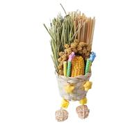 Générique Giocattoli Foraging per - Giochi Interattivi Da Masticare E Sminuzzare, Decorativi per Gabbie, Ideali Amazzoni E Parrocchetti, Perfetti Voliere, Interno E Patio