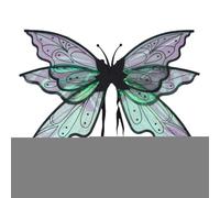Générique Glitter Fairy Wings, Adult Glitter Fairy Wings, Feast Dressing Up | Fairy Wings for Adults, Butterfly Wings for Girls and Women, Halloween Costume