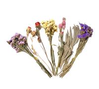 Générique Hamster Litter with Dried Flowers - Natural Decoration for Gerbil Cage Habitat Chinchilla for Hedgehog Pet Parents Weddings Camping Parties Christmas Theme Thanksgiving