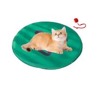 Générique Interactive Cat Ball Toy, Fast Rolling Ball on Play Mat | Stimulating Hunting Game for Kitten Awakening and Anti-Boredom