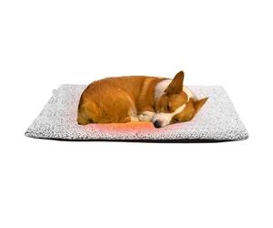Générique Katzen Waermematte Bett - Schlafmatte 61 x 45 x 3 cm, Tier Waerme Bett 190 g | Samt Selbstwaermend Komfortmatte Ruhiger Schlafplatz Entspannung, Katzen Ruheflaeche Schlaf Komfo Isolierende