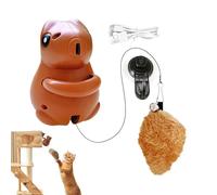 Générique Kitten Play Accessories - Hanging Toy, Animal Animation | Fun Activities Home, Feline Agility Training, Unique Design for Indoor Wall Bedroom Living Room