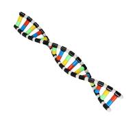 Générique Model - Double Helix Structure | Science Biology Educational Toy | Dee Molecular Assembly Kit for Classroom Decoration Teaching Material ABS 40x5.5x1cm