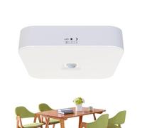 Générique Motion Sensor Ceiling Light - Rechargeable Shower Light - Waterproof LED Lighting 2 Modes for Bathroom Hallway Pantry Laundry Room Shed Entrance