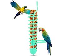 générique Parrots Feeder Basket Bird Food Reusable Plastic Food Fruit Vegetable Millet Container Feeding Pole Holder Stand for Birds Well Managed