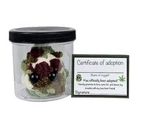 Générique Potted Ball Plush Toy - Funny Crochet Small Plush Toy | Stoner Accessories, Handmade Toys for Friends, Simulation Cute Knitted Green Weeds in Pot