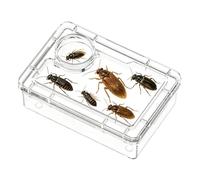 Générique Reptile Bowl | Anti-Escape with Compartment | Bernard Bowl and Lizard Feeder - for Home and Office Terrarium Habitat Chameleon Bernard-L'Hermit Frog