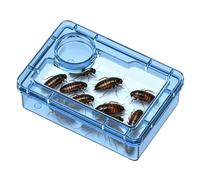 Générique Reptile Bowl - Anti-Escape with Compartment, Leopard Gecko Feeder for Vivarium | Breeding Bowl for Bernard The Hermit Frog Spider Chameleon Iguana