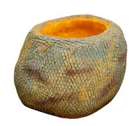 Générique Reptile Tray | Large Resin Imitation Stone Base | Resin Bowl for Bearded Dragon - for Frog Spider Hermit Bathing Watering Home Terrarium