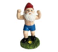 Générique Resin Gnome Ornaments, Creative Training Weightlifting GNOME Figurine - Finishing Function Products Decoration GNOME for Gardens, Yards, Lawns, Bedrooms