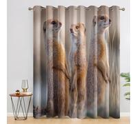 Générique Rideau Occultant Suricate, Rideaux Thermiques Motif Animaux Sauvages pour Decoration Salon Chambre, Lot de 2 Draperies Intérieurs à Oeillets, 140x260 (LxH) D&2304