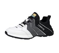 Générique Shoes Men Basketball Running Man Walking Shoes Men Basketball Man Comfort No Laces Multicolor Comfortable Walking Mesh Fitness Shoe, 1 grey, 10 UK
