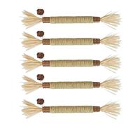 Générique Silvervine Cat Sticks - 5 Pieces Edible Natural Lickable Bite-Resistant | Silvervine Natural Cat Toys | for Enrichment Kitten Indoor and