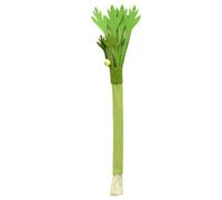 Générique Silvervine Cat Sticks, Interactive Cat Celery Stick with Bell - Pet Accessory Indoor Play Mental Stimulation Exercise Floor Home Travel