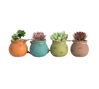 Générique Small Flower Pots | 4 Pieces Ceramic with Drainage System - Mini Flower Pots for Indoor | for Indoor Outdoor Living Room Bedroom Garden Yard Patio Porch Farmhouse