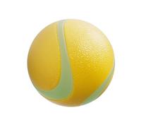 Générique Squeaky Rubber Dog Toy - Bright Squeaky Puppy Ball Toy | for Dog Training Throwing Chew Report Anti-Boredom Indoor Outdoor Home Garden