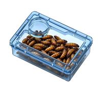 Générique Transparent Gecko Bowl with Transparent Compartment and Leak-Proof | Leak-Proof Food Dish for Lizards, Chameleon Iguana Tarantula Habitat Terrarium Home Office