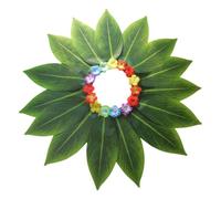 Générique Turf Table Skirt | Hawaiian Jup | Book Week Party Fancy Dishing Outfit | Soft Comfortable Elastic For Beach Summer Birthday Prom