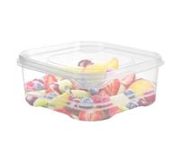 Générique Vegetarian Refrigerator Containers | Transparent Food Organizer For | Refrigerator Food Storage Box With Airtight Lids - For Camping, Dorto