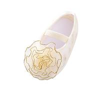 Generisch 2026 Baby Trainers with Floral Pattern, Soft Sole for Toddlers, Princess, Cute Little Shoes, beige, 4 UK Child