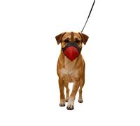 Generisch 2026 TPR Parrot Mouth Guard - Protection against crowding when eating, small and large birds as well as barking (Red-a, 10 cm)