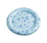 Generisch 2026 Water Injection Thick Inflatable Water Mattress, Puppy Cat Cooling Mat (C, One Size)