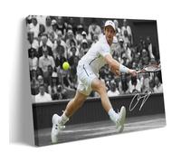 Generisch Andy Murray Tennis Star Poster Canvas Painting Wall Painting Decorative Painting Print Modern Decoration 08 x 12 Inch (20 x 30 cm)