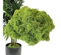 Generisch Artificial Moss for Decoration, Realistic Decoration, 100 g, Decorative Green Artificial Moss - for Aquarium, Greenhouse, Terrarium Habitat, Raised Beds, Gardeners, Homeowners