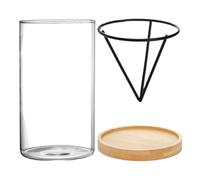 Generisch Avocado Glass Plant Pot, Avocado Tree Growing Set, 3-Piece Propagation Set, Avocado Tree Starter Vase, Glass Growing Flower Pot, Sprout Growing Vase for Women