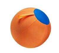 Generisch Ball for dogs, 45 cm, inflatable giant ball for herding dog training