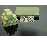 Generisch Bamboo All-Purpose Cloths 100% Bamboo Set of 6 Sustainable Cleaning Cloths Bamboo Cleaning Cloths Bamboo Cleaning Cloths 25 x 25 cm Green