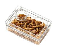 Generisch Bearded Dragons - Escape Proof with Food Division, Leopard Gecko Feeding Bowl for the Terrarium - for Hermit Crabs, Frogs, Spiders, Chameleons, Iguanas, Lizards, Tarantulas