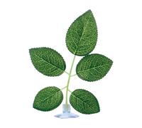 Generisch Betta Bed - Suction Cup Leaf Pad, Natural Aquarium Plant for Sleeping, Hiding, Playing