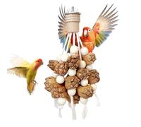 Generisch Bird Chew Toy, Cockatiel Boredom Control - Cockatiel Activity Toy for Macaw Parakeet Animal Shelters Zoo Aviaries Living Room Bedroom Study Home